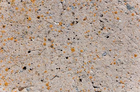 Concrete wall surface texture.Grunge backdrop. Stock Photos