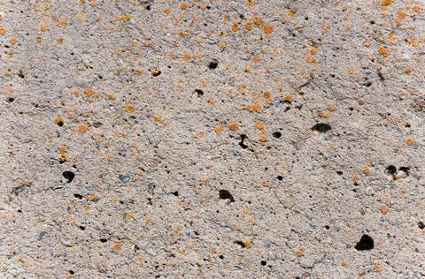 Concrete wall surface texture.Grunge backdrop. Stock Photos
