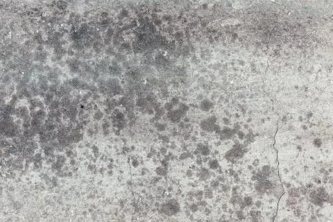 Concrete wall texture background grey Stock Photos