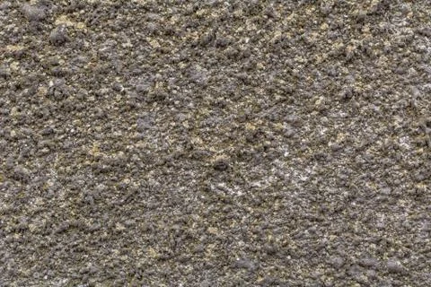 Concrete wall texture background. Texture wall bark beetle. Painted textural  Foto stock