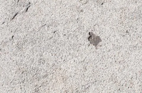 Concrete wall texture Stock Photos