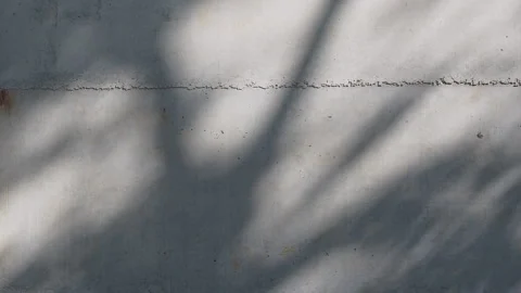 Concrete wall texture with sunlight and tree shadow moving across the surface. Stock Footage 330149879