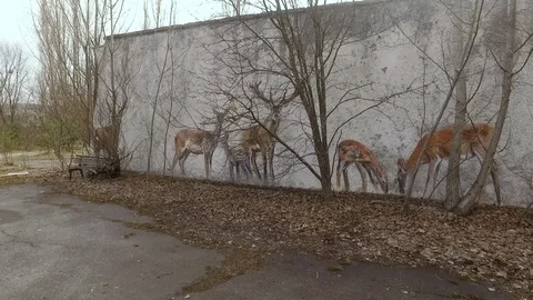 Concrete wall on which realistic young deer are drawn Stockbeeldmateriaal 74688901
