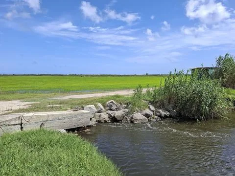 Concrete water gate system next to a dirt road by a green rice plantation a.. Stock Photos