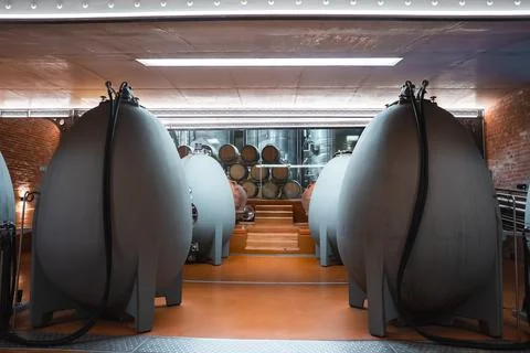Concrete wine fermentation egg tanks inside a modern winery cellar Stock Photos