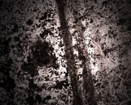 Concrete Zoom Video stock 103037