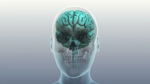 Concussion Impact On Human Brain Stock Footage 324800926