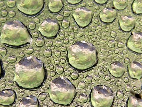 Condensation 4 Stock Photos