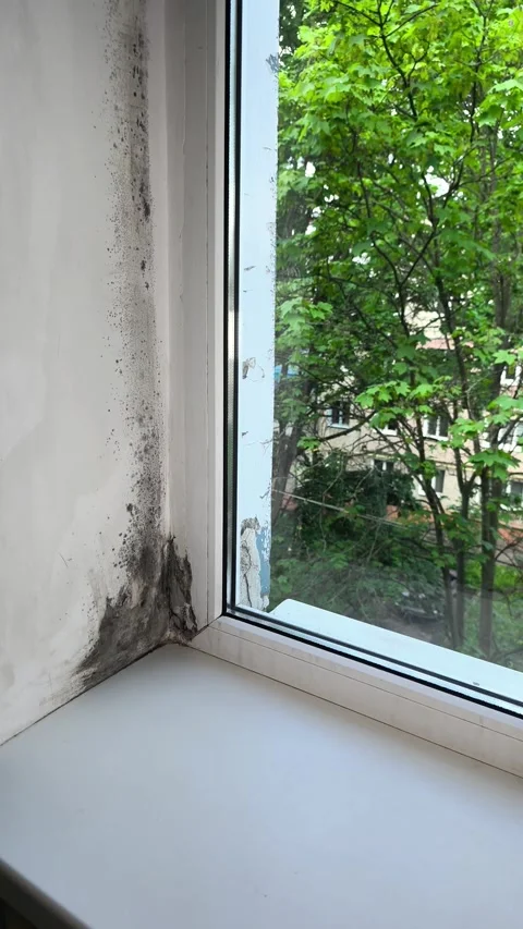 Condensation causes mold growth on wall near plastic window frame. Stock Footage 344553808
