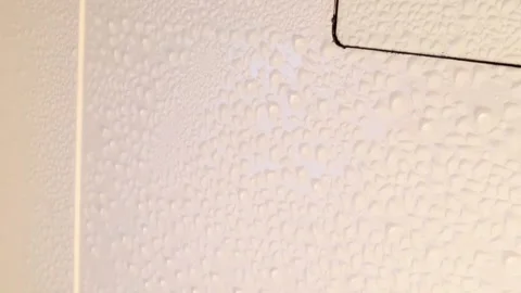 Condensation on the ceiling of a Japanese bathroom Stock Footage 336687124
