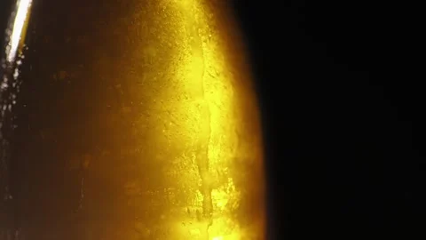 Condensation drips on a cold beer bottle in studio lighting. Stock Footage 334859280
