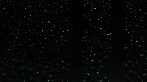 Condensation patterns drip down a window surface. Close-up of water drops Stock Footage 326494924