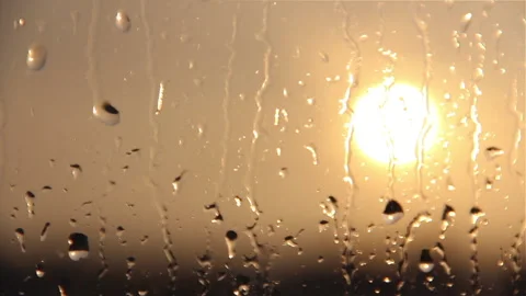 Condensation Raindrops Stock Footage 233709662