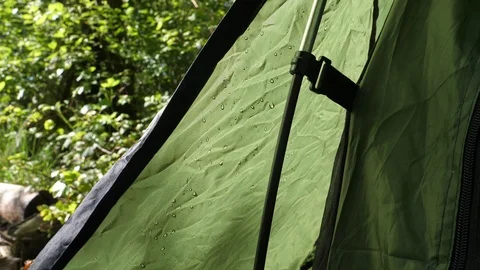 Condensation on Tent while Camping in Forest Woods Video stock 112681692
