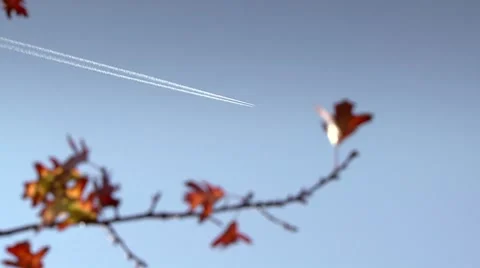 Condensation trails with autumn leaf 動画素材 8768719