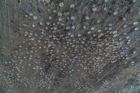 Condensed water drops on the basement ceiling - close-up with selective focus Stock Photos