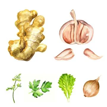 Condiments Stock Illustration