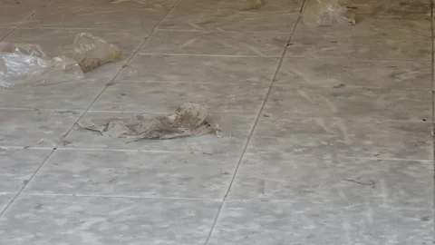 The condition of a room Stock Footage 289369165