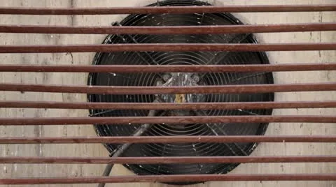 Conditioner for lattice Stock Footage 10875390