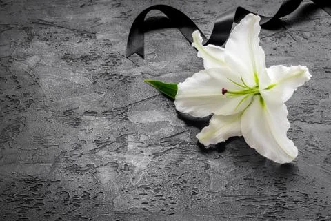 Condolence card with white flowers lily. Funeral symbol Stock Photos