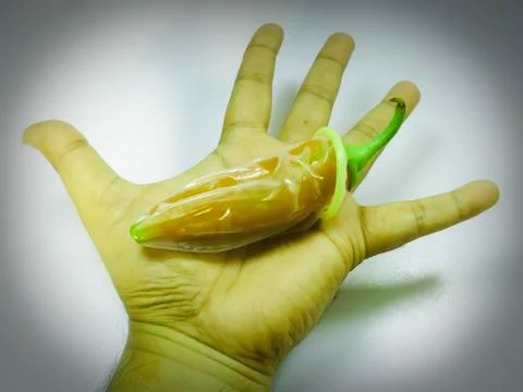 Condom on red chilli Stock Photos