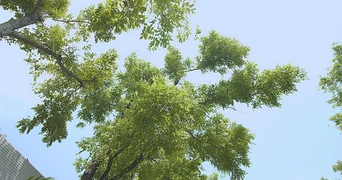 Condominium Stock Footage 105554878