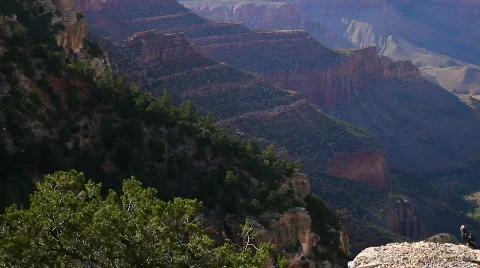 Condor 02 Stock Footage 848749