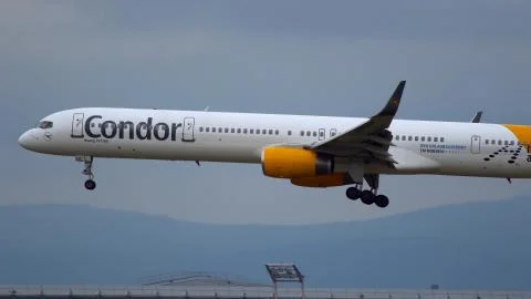 Condor approach to landing Stock Photos