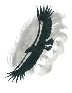 Condor flies with spread wings against the background of a cloud Illustrazione stock