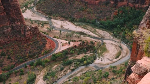 Condor Flying Video stock 292935581