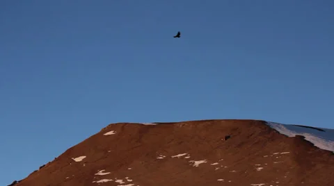 Condor flying over mountains Stock Footage 33545211