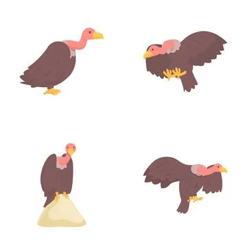 Condor icons set cartoon vector. Big bird of prey Stock Illustration