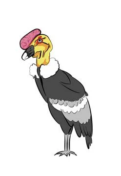 Condor Stock Illustration