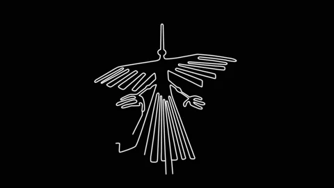 The Condor of Nazca Lines Animation Video stock 165229369