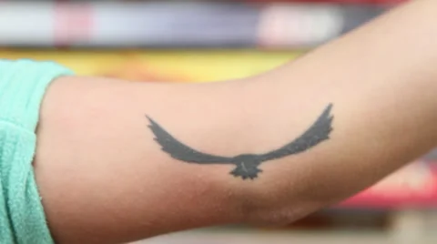 Condor-tattoo Stock Footage 33399998