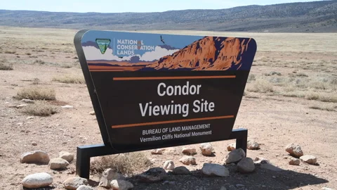 Condor viewing site at Vermillion Cliffs, Arizona, 4k Video stock 241120827