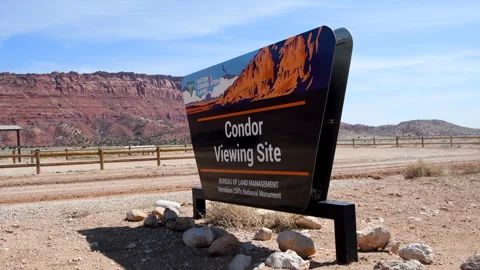 Condor viewing site, Vermillion Cliffs, BLM signage, 4k Video stock 254374711