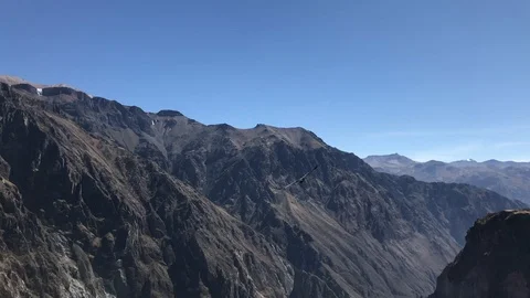 Condors in canyon Stock Footage 99383395