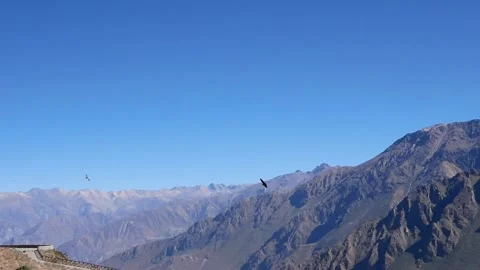 Condors at Colca Canyon Stock Footage 152517670
