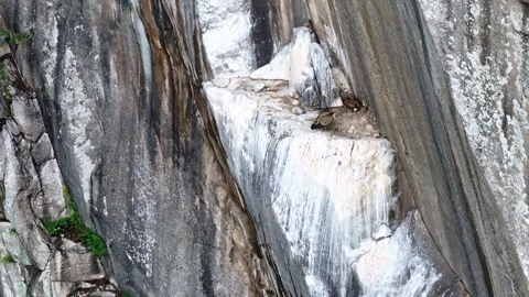 Condors perched on a cliff ledge with a dramatic drop-off below 動画素材 289541112