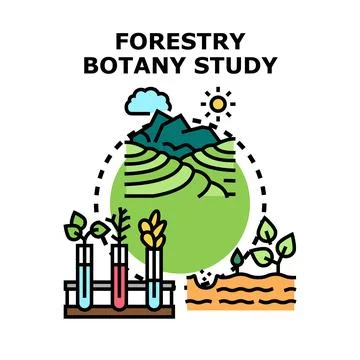 Conducting forestry and botany research for plant growth and ecology Stock Illustration