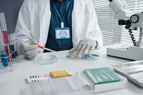 Conducting Laboratory Study with Microscope and Test Tubes Stock Photos