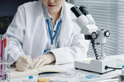 Conducting Scientific Research Using Laboratory Microscope Stock Photos