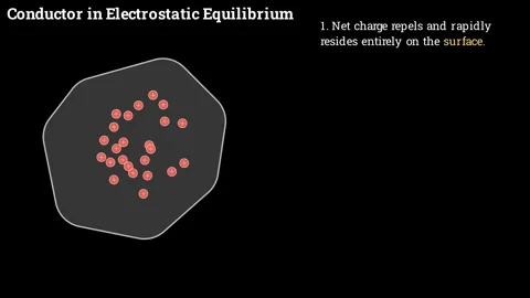 Conductor in Electrostatic Equilibrium Видео 337061538
