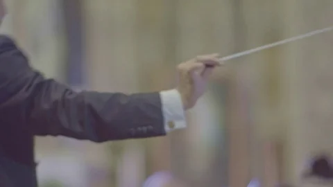 Conductor 스톡 동영상 81976549
