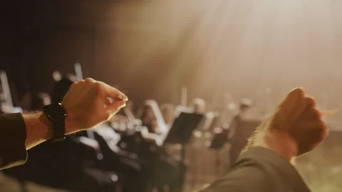 Conductor Leading Orchestra From Behind During Classical Concert Performance Stock-Footage 291885804