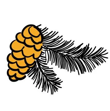 Cone and brunch of pine tree isolated on white background Stock Illustration