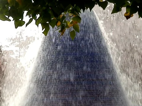 Cone Video stock 490321