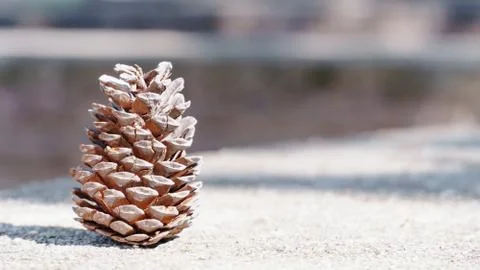 Cone on the ground Stock Photos