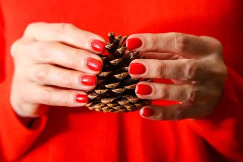 Cone in the hands on a red background Stock Photos